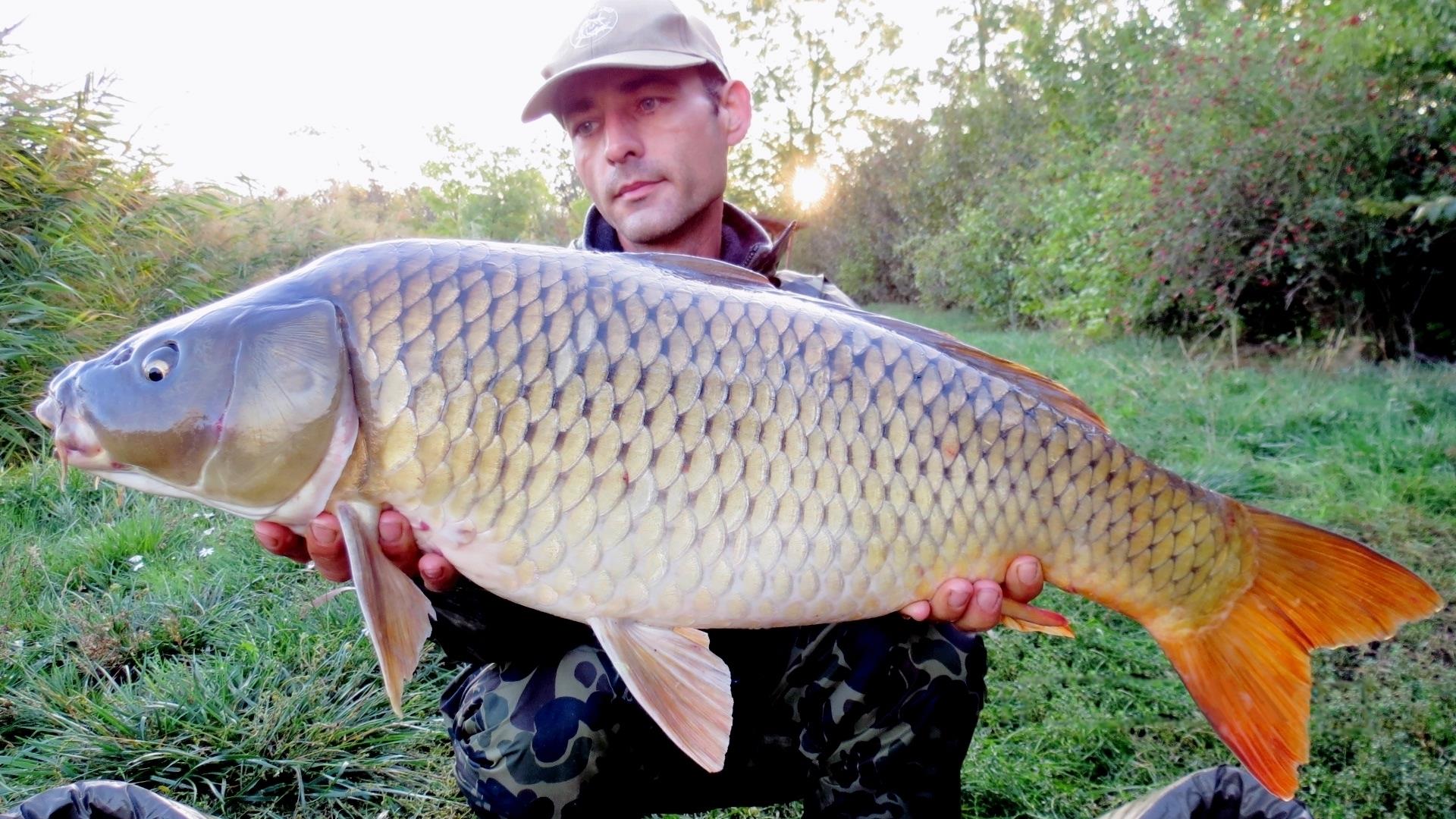 The best pictures of 2013 - 7,450